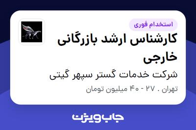  استخدام کارشناس ارشد بازرگانی خارجی - خانم در شرکت خدمات گستر سپهر گیتی