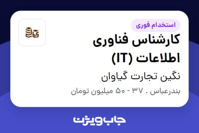  استخدام کارشناس فناوری اطلاعات (IT) در نگین تجارت گیاوان