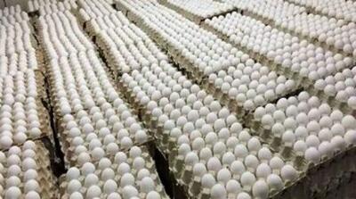  اعتراض روزنامه اصولگرا به ارزانی تخم مرغ - مردم سالاری آنلاین