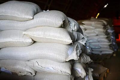  قیمت جدید برنج ایرانی