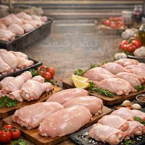  سقوط قیمت گوشت مرغ؛ مزرعه‌داران چه کردند؟ | گزارش میدانی ۳۰ بهمن ۱۴۰۴