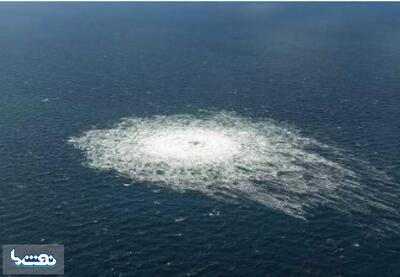  آمریکا از انفجار خط لوله نورد استریم با خبر بود | نفت ما