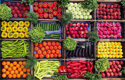  میوه و تره‌بار از ۱۵ اسفند کالابرگی می‌شود