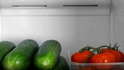  روش های جلوگیری از کپک زدگی خیار و گوجه در یخچال / جدول