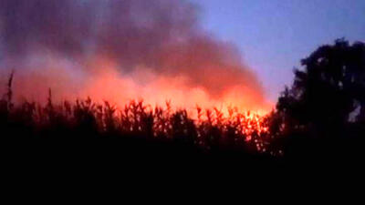  حریق ادامه دار همچنان در آتش / 10 هکتار تاکنون سوخته است