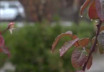  میزان بارندگی تهران 200 میلی متر کمتر از شرایط ایده‌آل - سلام نو