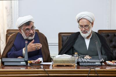  فاضل میبدی در دیدار با رئیس‌جمهور: برای صلح محکم بایستید