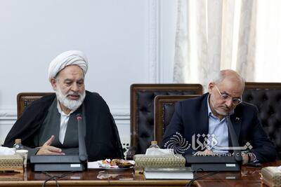  استاد قاضی زاده:‌ اگر به وظایف ذاتی عمل می‌شد، فاجعه دی ماه رخ نمی‌داد