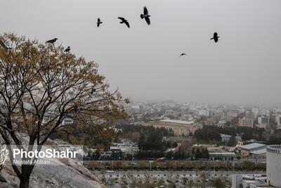  بارش و وزش باد در شمال و شمال‌شرق کشور | کاهش دما در نوار شمالی (پنجشنبه، ۳۰ بهمن ۱۴۰۴)
