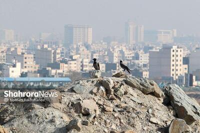  بازگشت آلودگی به محدوده نارنجی | وضعیت کلانشهر مشهد، ناسالم برای گروه‌های حساس (پنجشنبه، ۳۰ بهمن ۱۴۰۴)