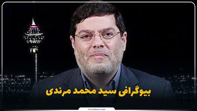  سید محمد مرندی کیست؟ بیوگرافی تحلیل‌گر ارشد و استاد دانشگاه تهران