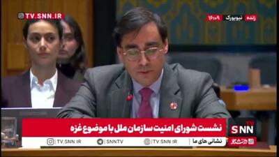  نماینده فرانسه: تداوم وضعیت کرانه باختری امید صلح را تضعیف می‌کند و وحدت سرزمینی فلسطین باید حفظ شود