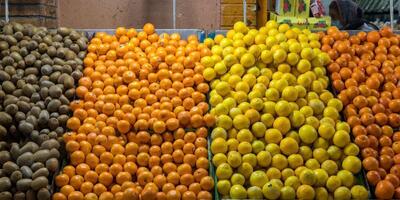  ذخیره‌سازی ۴۰۰ تن میوه شب عید در قم