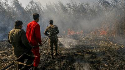  آتش‌سوزی در تالاب انزلی