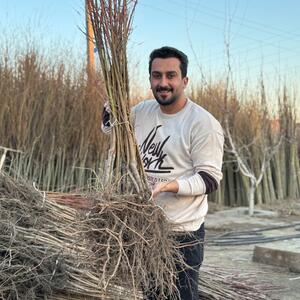  راهنمای کامل خرید نهال شناسنامه ‌دار از رویال نهال