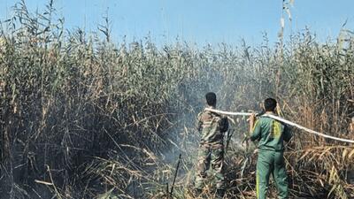  دستگیری عامل آتش سوزی در تالاب انزلی