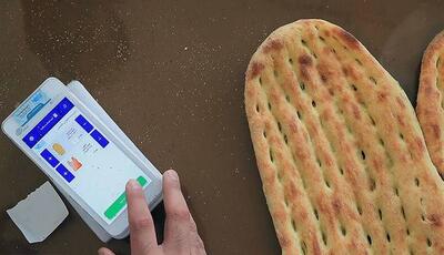  پرداخت 290 همت یارانه نان به کدام «ذی‌نفع نهایی»؟