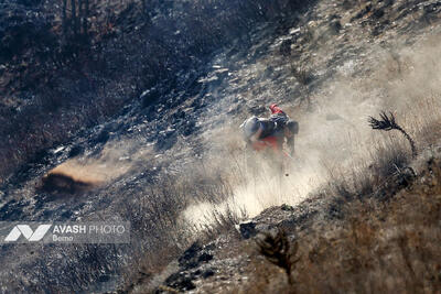  مهار آتش‌سوزی جنگل‌های سوادکوه پس از ۲۴ ساعت