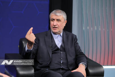  حدود ۵۰۰ هزار تن ظرفیت پرتودهی در کشور ایجاد شده است