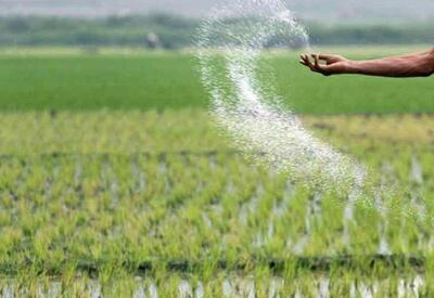  صدور ۹۰ هزار حواله الکترونیکی کود در استان مرکزی