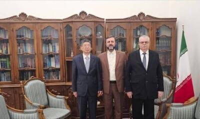  دیدار و گفتگوی غریب آبادی با سفرای روسیه و چین - اکونیوز