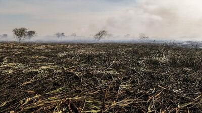  آتش‌سوزی در تالاب انزلی / بیش از ۱۰ هکتار نیزار طعمه حریق شد/ یک متهم بازداشت شد