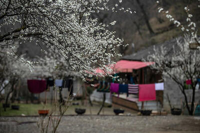  سرما و یخبندان در راه است؟ | یک اقلیم شناس: رسانه‌ ها جنجال می‌ کنند | دلیل گرمای زمستانه چیست؟