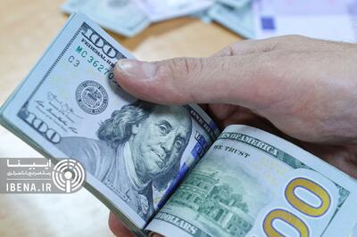  ارز ترجیحی ۱۲ میلیارد دلار تقاضای غیرواقعی در بازار ایجاد کرد
