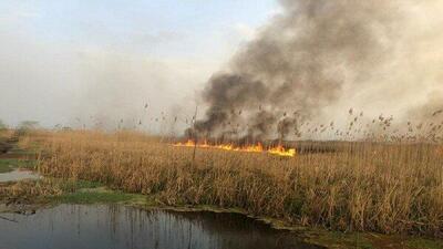 مهار کامل آتش سوزی در تالاب انزلی/ شناسایی عامل انسانی