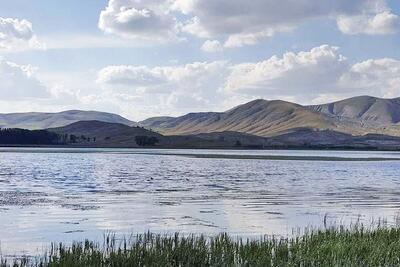  تالاب «قره‌گل» دوباره جان گرفت