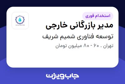  استخدام مدیر بازرگانی خارجی در توسعه فناوری شمیم شریف