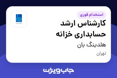  استخدام کارشناس ارشد حسابداری خزانه در هلدینگ بان