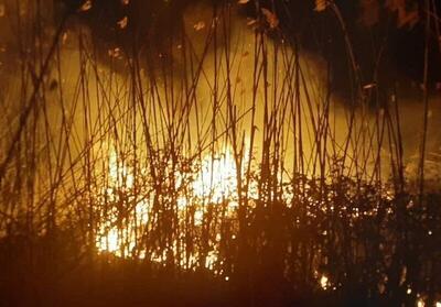  دستگیری عامل آتش‌سوزی در تالاب انزلی