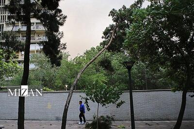  افزایش محسوس دما در شمال‌غرب و استان‌های ساحلی خزر/ وزش باد شدید در برخی استان‌ها