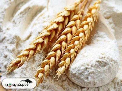  توهم خودکفایی گندم یک میلیارد دلار به جیب دلالان روسی و اماراتی ریخت