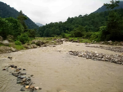  سجادرود؛ قبرستان جنگل‌های هیرکانی