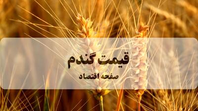  آخرین خبر از تعیین قیمت تضمینی گندم امروز جمعه  ۱ اسفند ۱۴۰۴