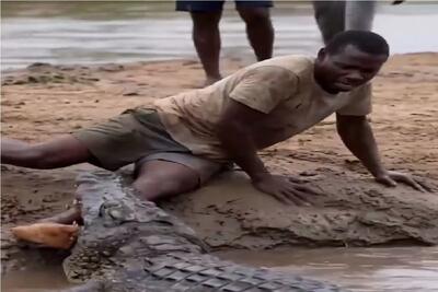  مستند حیات وحش؛ لحظه دلخراشی که مرد طعم درد را چشید