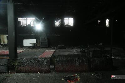  توحش سلطنت طلب‌ها، برای خلق آزادی با سرقت! + فیلم