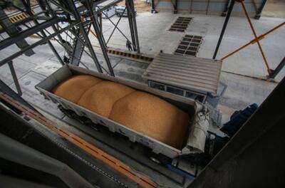  پهلوگیری کشتی حامل سه هزار تن گندم در بندر امیرآباد مازندران