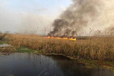  مهار کامل آتش سوزی در تالاب انزلی