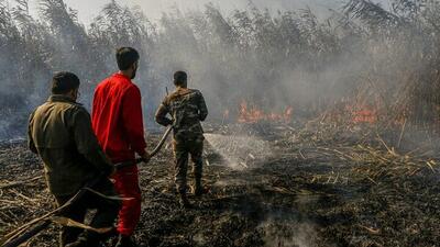  آتش‌سوزی جنگل‌های سوادکوه پس از ۲۴ ساعت مهار شد