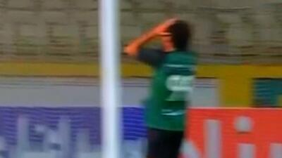  تک به تکی که نیازمند مهار کرد