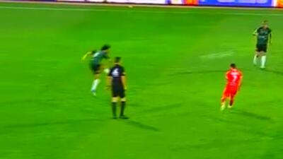  نیازمند، مانع از گل زیبای یوسفی شد