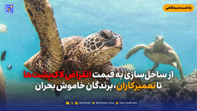  از ساحل‌سازی به قیمت انقراض لاک‌پشت‌ها تا تعمیرکاران، برندگان خاموش بحران