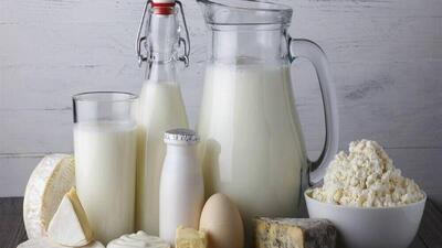  خطر تب مالت با لبنیات محلی / تاکید وزارت بهداشت بر مصرف لبنیات پاستوریزه