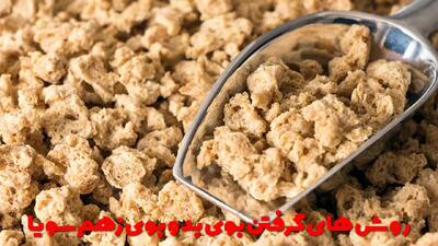  روش های گرفتن بوی بد و بوی زهم سویا + خوشمزه ترین روش پخت سویا