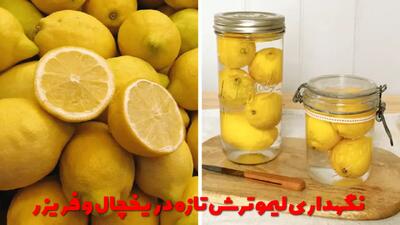  روش های نگهداری لیمو ترش تازه در یخچال و فریزر برای مدت طولانی