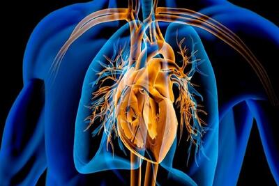  عفونت‌های درمان‌نشده در کودکی، تهدیدی برای دریچه‌های قلب در میانسالی