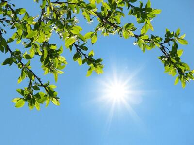  جو پایدار در اغلب مناطق کشور طی روزهای آینده